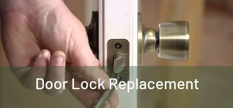  Door Lock Replacement 
